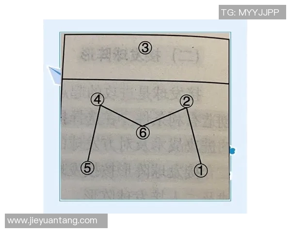 西安排球队控制打法的深度分析与战术解读